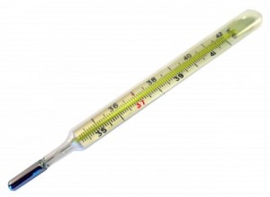 thermometer_3838442_blog